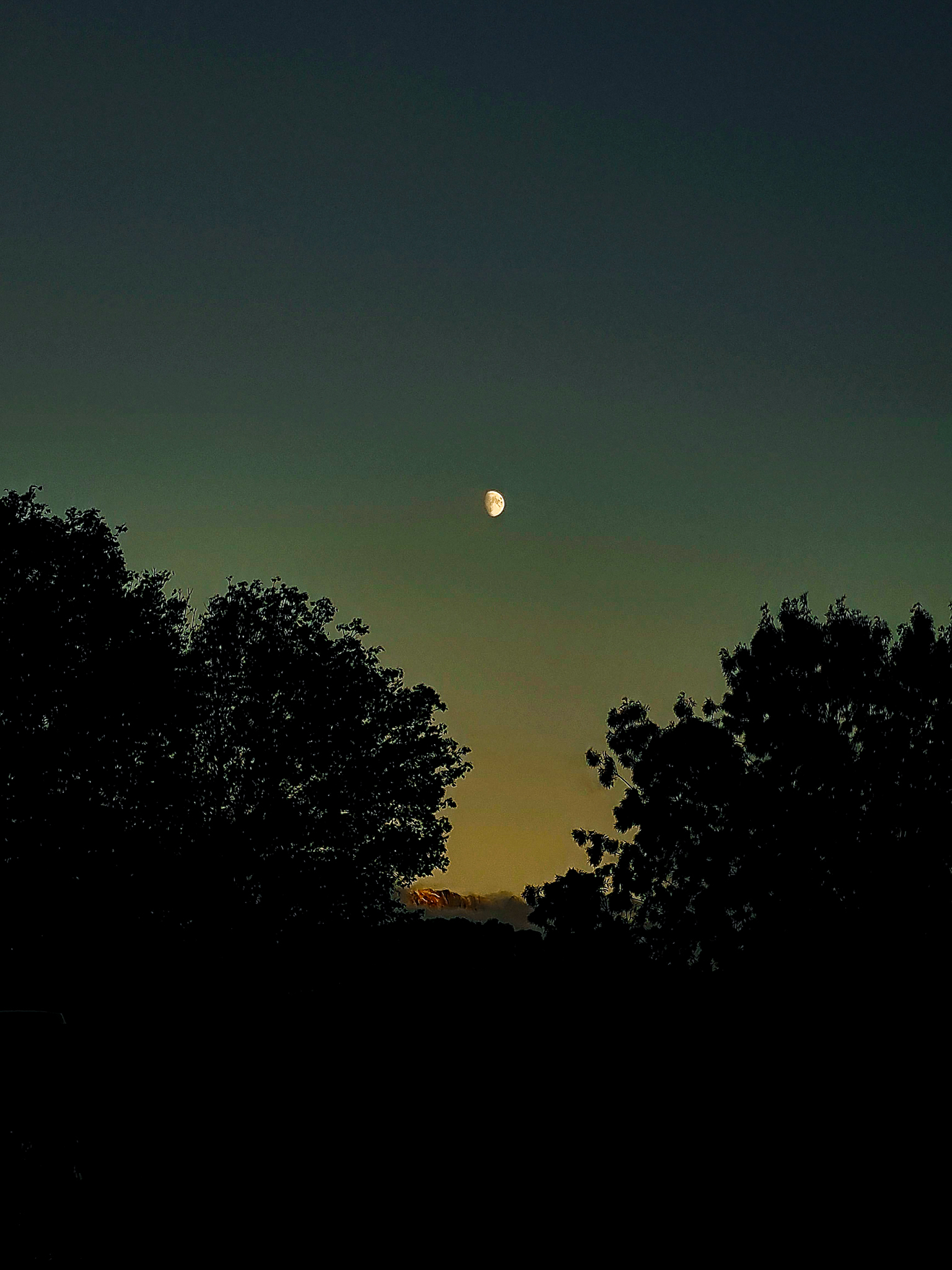 Lune -- Capture de la lune au lever du soleil, tôt le matin, contrastant avec la nature et les montagnes qui se dévoilent progressivement dans l'obscurité. Le ciel se teinte doucement de nuances pastel, créant un tableau à la fois calme et captivant. C'est un moment fugace où la beauté simple de l'aube se mêle à la majesté de la nature.